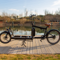 cargo with battery bike for family ebike online